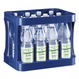Zeige Details für Burgwallbronn Medium Pet 12x1l Bild von Burgwallbronn Medium Pet 12x1l